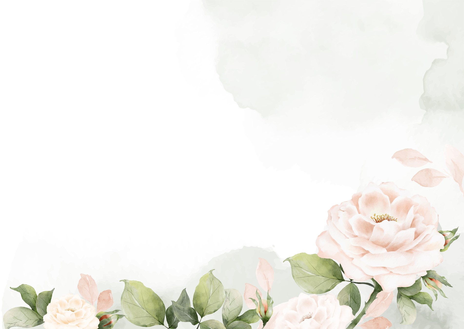 Watercolor Rose Flowers Background